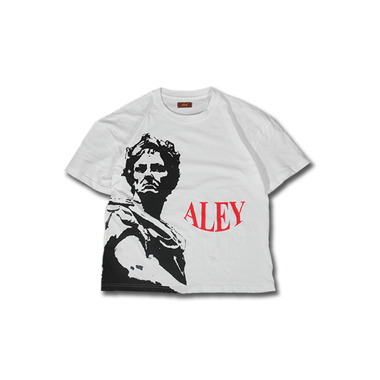 AleyTshirt, Round neck, Crop top, cloth, viral, google, faceook, tiktok, fashion, wears, aleybrand.com, worldwide, online shopping.