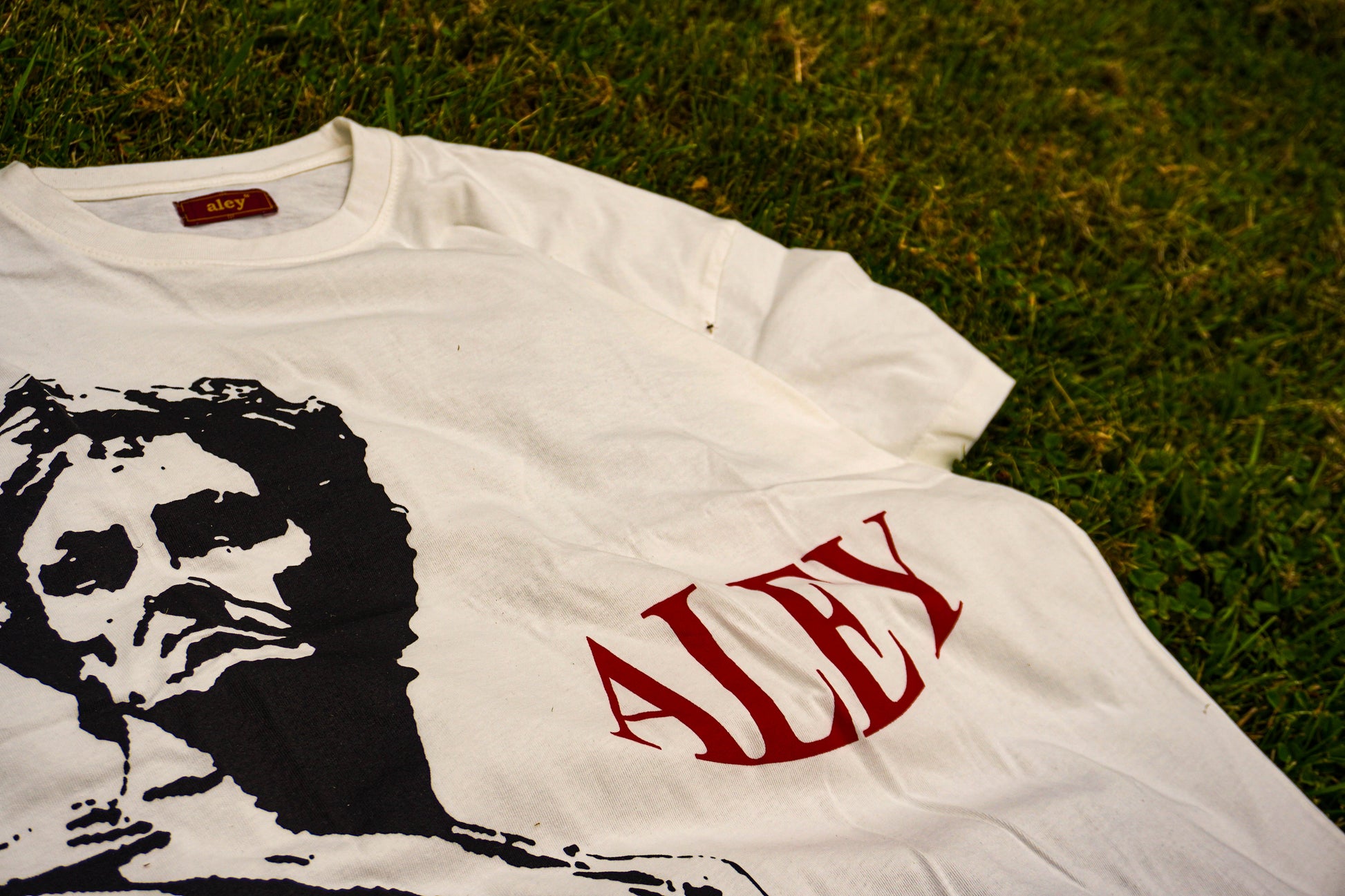 AleyTshirt, Round neck, Crop top, cloth, viral, google, faceook, tiktok, fashion, wears, aleybrand.com, worldwide, online shopping.