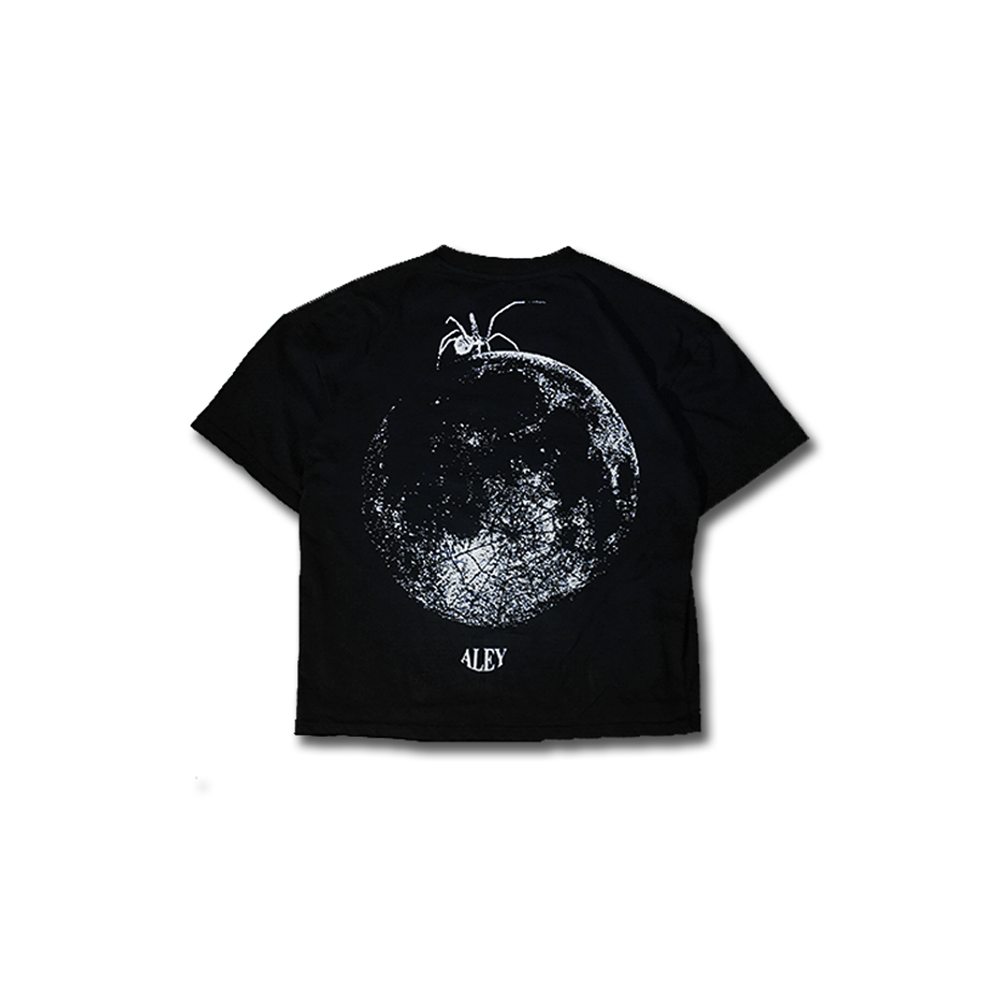 AleyTshirt, Round neck, Top, cloth, viral, google, facebook, tiktok, fashion, wears, aleybrand.com, worldwide, online shopping