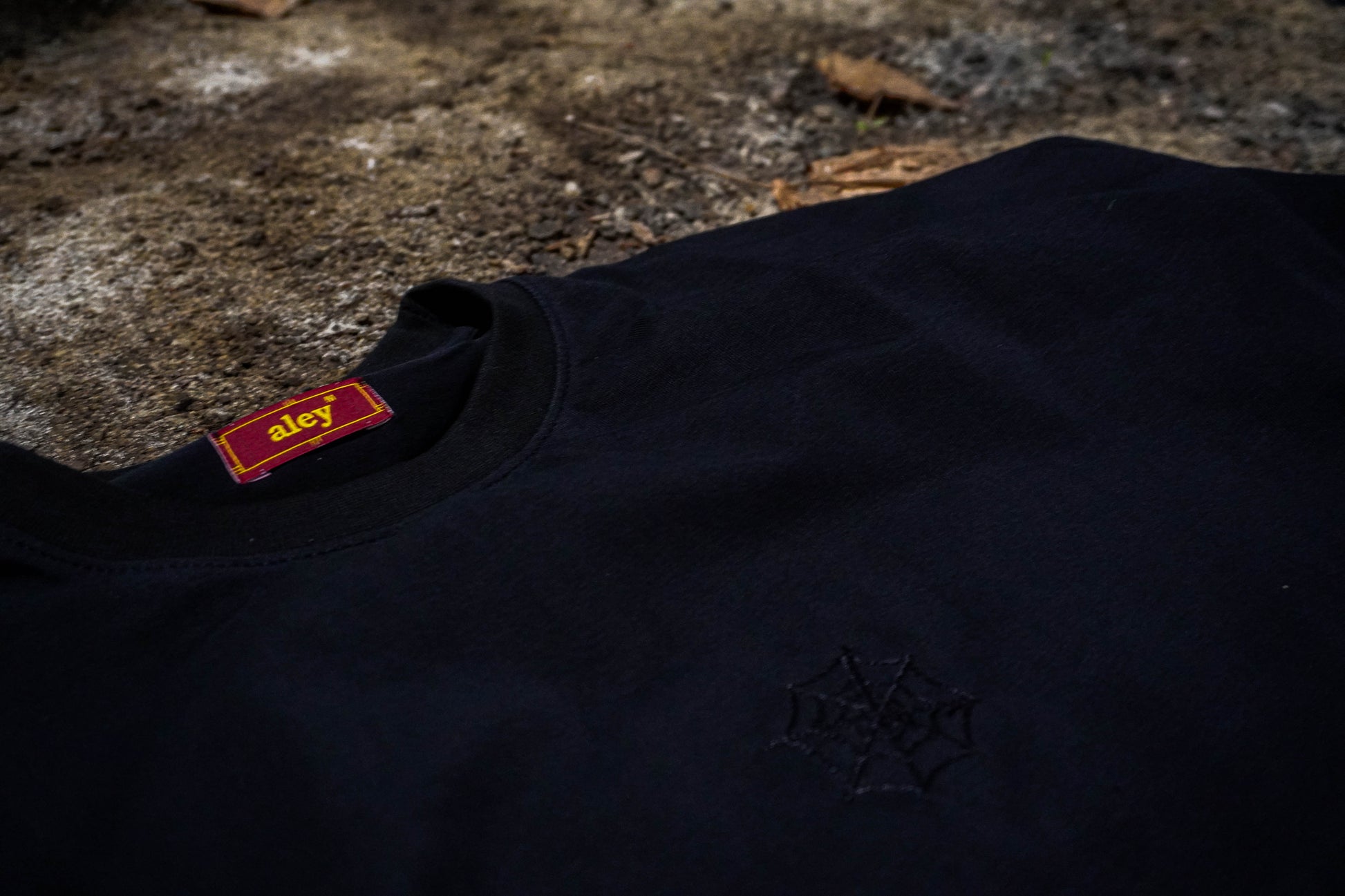 AleyTshirt, Round neck, Top, cloth, viral, google, facebook, tiktok, fashion, wears, aleybrand.com, worldwide, online shopping